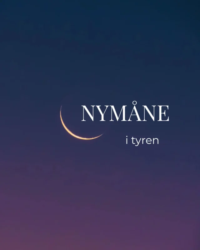 Søndag falder nymånen i tyren, sammen med gudinden Isis samt gudinden Hekate står direkte modsat🤩

Dette betyder magi🪄 en mulighed for at få adgang til områder, af/i dig selv og universet, som du normalt ikke har adgang til🔐

♉️ Tyren, invitere dig til at holde en pause og forbinde dig til dig selv, så du kan åbne op for en ny begyndelse.
🏺 Isis en healende gudinde, som fylder dig med lys og kærlighed 
🌑 Hekate gudinden af månen, hjælper dig bl.a. ved skilleveje, gør dette lettere at få adgang til det der ligger i mørket, åbner gemte gaver i dig.

Derfor kalder jeg disse 2 gudinders power ind til healings ceremonien på søndag. 

👉🏽 Ønsker du at arbejde med gudinderne og denne powerfulde nymånes energi? Så kom med på søndag. Læs mere og tilmeld dig via linket på min profil @rask.udvikling 

Gode spørgsmål at reflektere over, under denne nymåne:
✨ Hvilke gamle mønster forsøger at beskytte mig - men faktisk holder mig tilbage?
✨ Hvad ønsker og længes mit hjerte at føle og udtrykke?

#nymåne #nymåneritual #nymåneceremoni #yinyoga #healing #healingsceremoni #lydhealing #soundhealing #lyssprog #lyssprogshealing #lightlanguage #lightlanguagehealing #spiritueludvikling